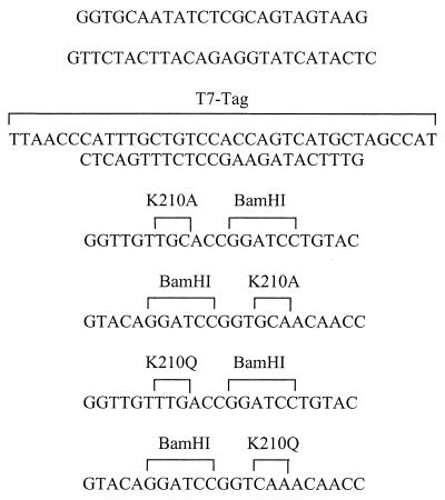 graphic file with name jb20105350t2.jpg