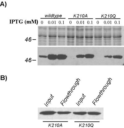 FIG. 9