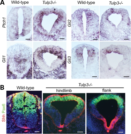 Figure 2.