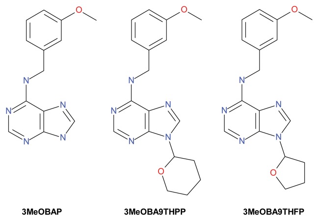 graphic file with name psb-8-e24392-g1.jpg