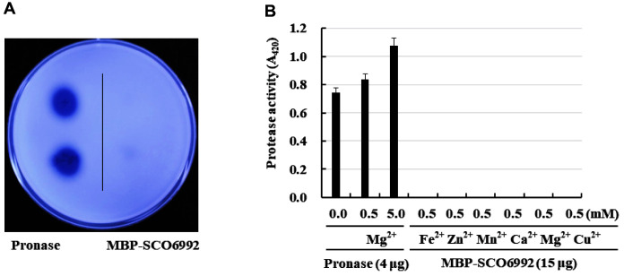 Fig. 5