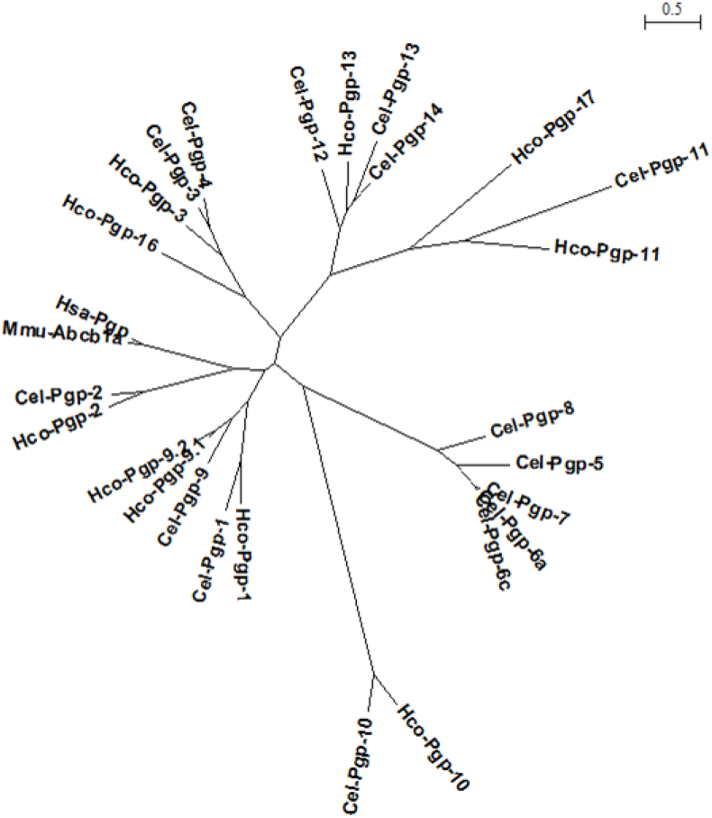 Fig. 2