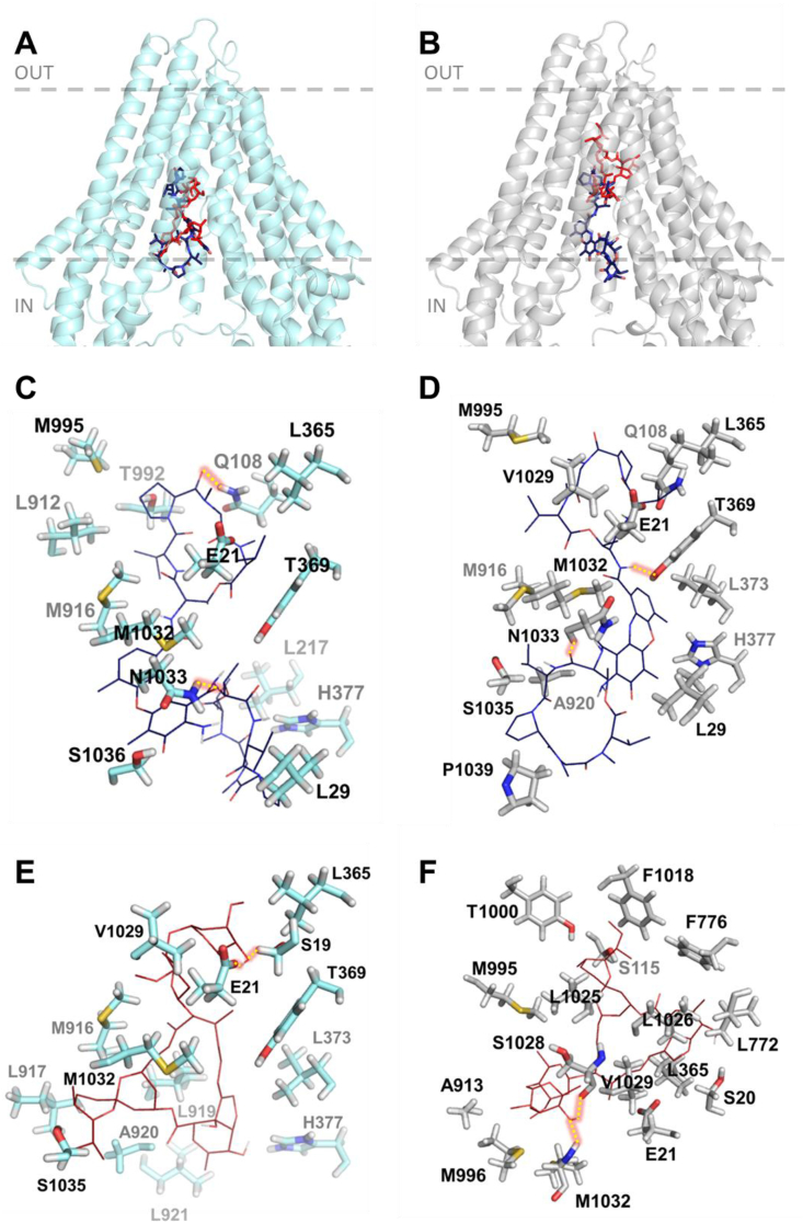 Fig. 3