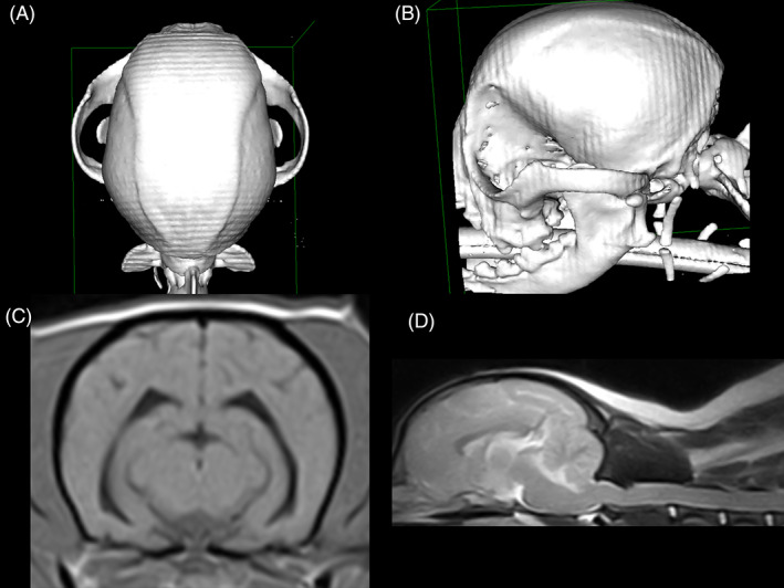 FIGURE 4