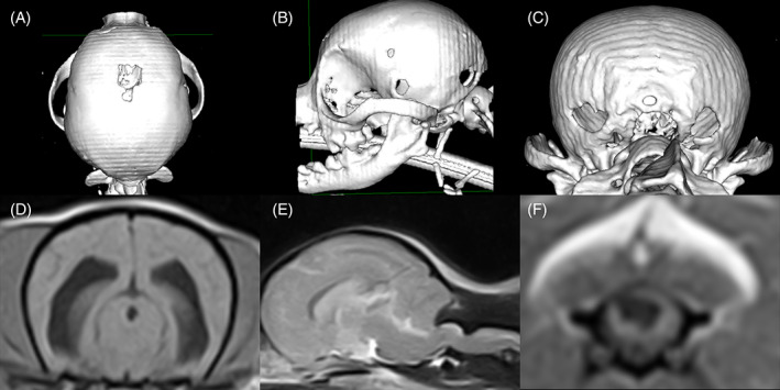 FIGURE 3