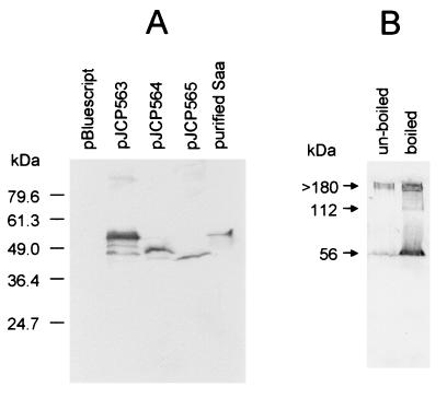 FIG. 7