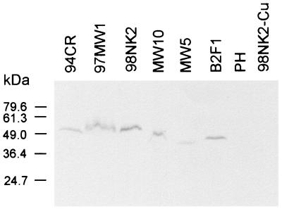 FIG. 5