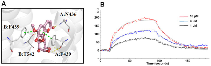 Figure 5