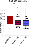 Figure 6