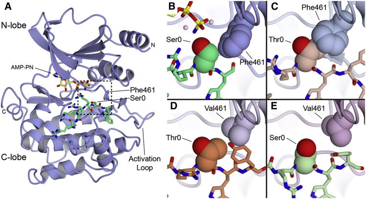 Figure 3