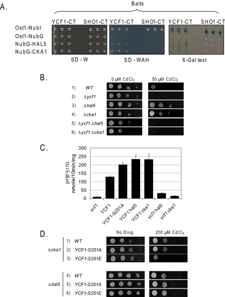 FIGURE 4.