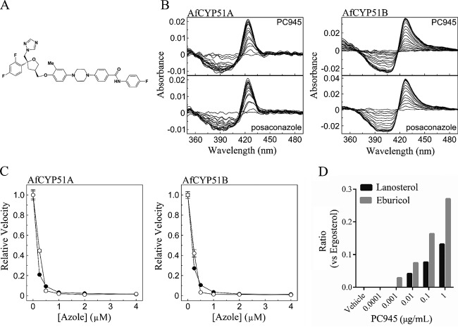 FIG 1