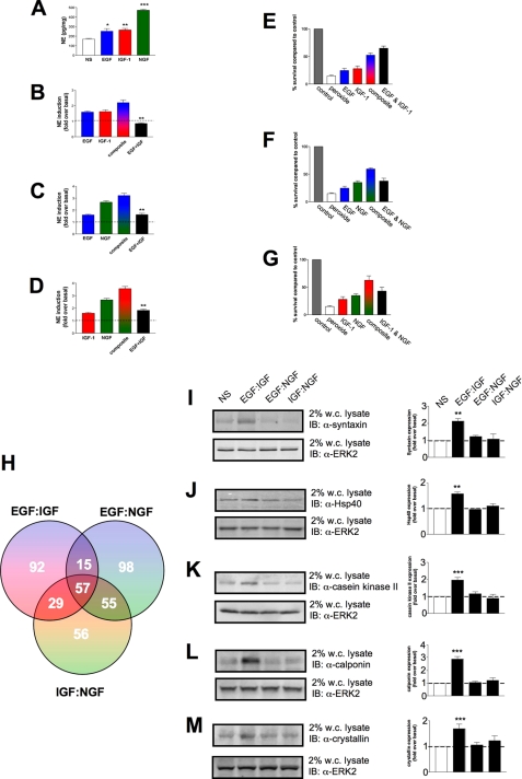 FIGURE 12.