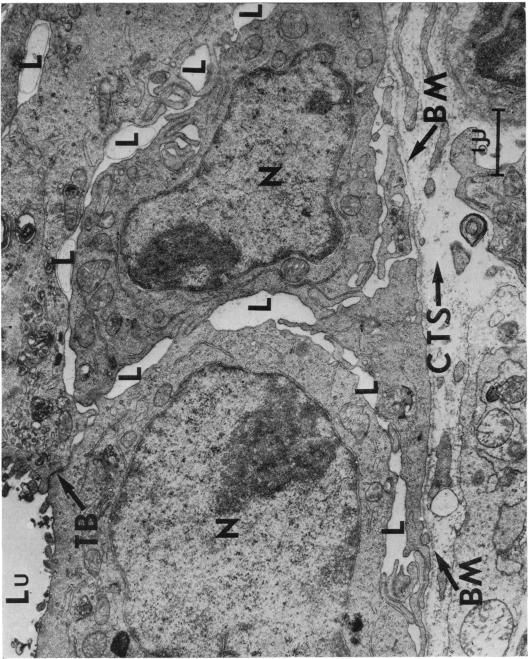 FIG. 7