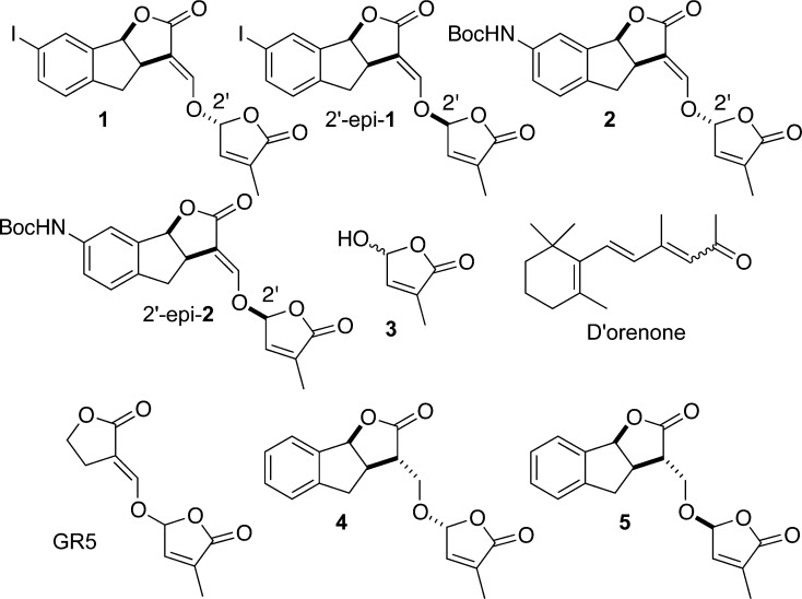 Figure 2.