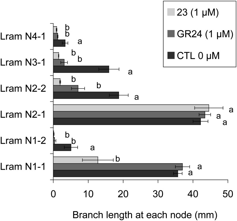 Figure 11.