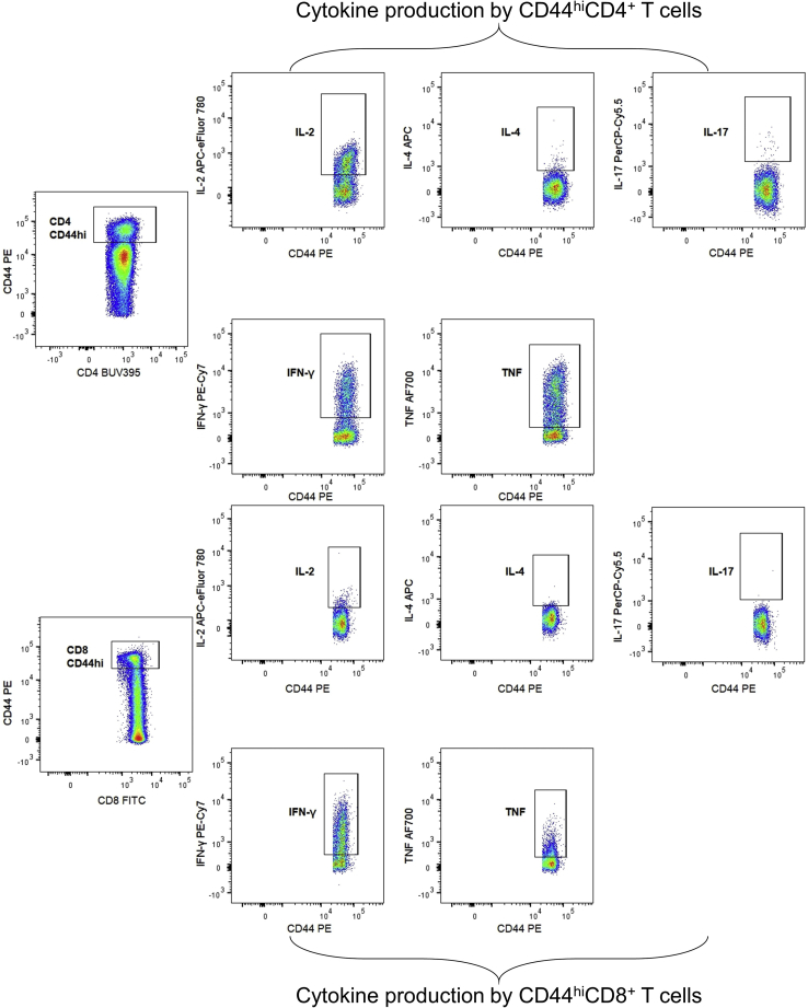 Figure 6