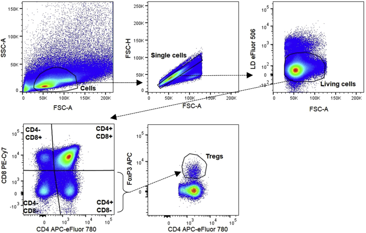 Figure 3