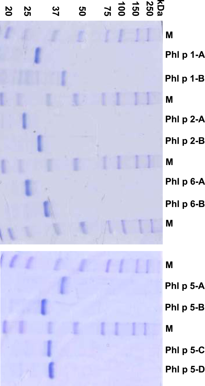 Fig E4