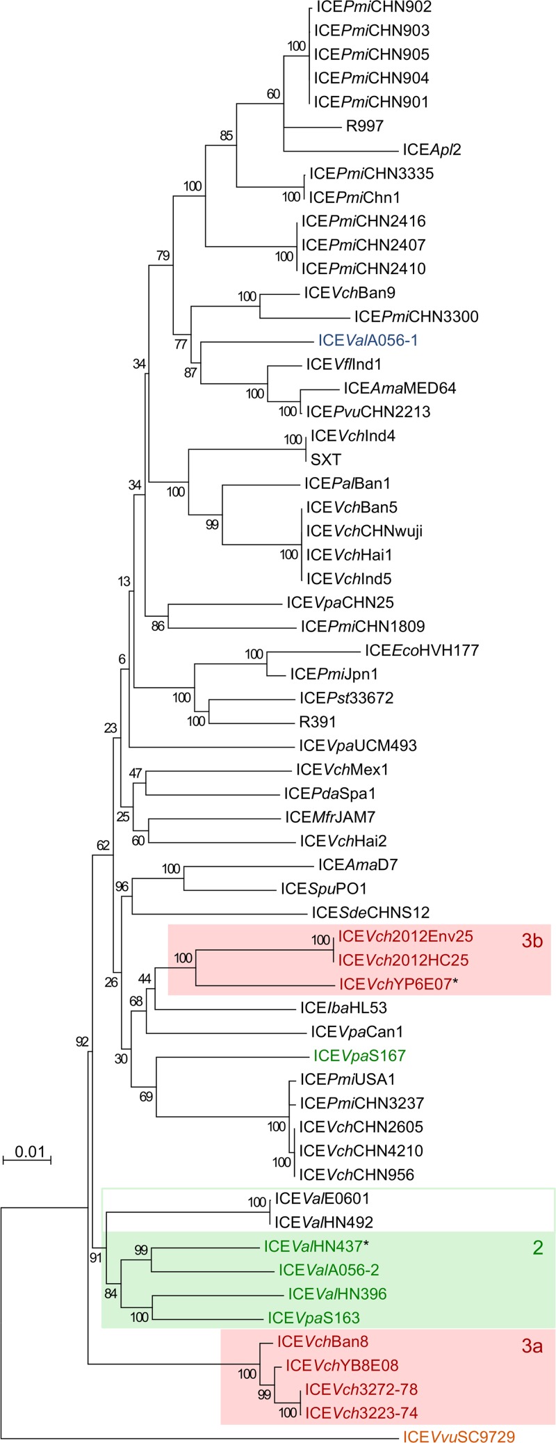 FIG 7