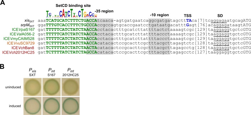 FIG 4