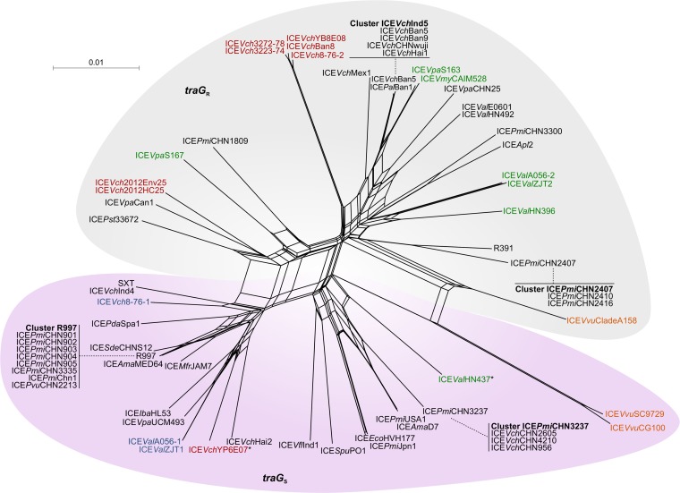 FIG 6