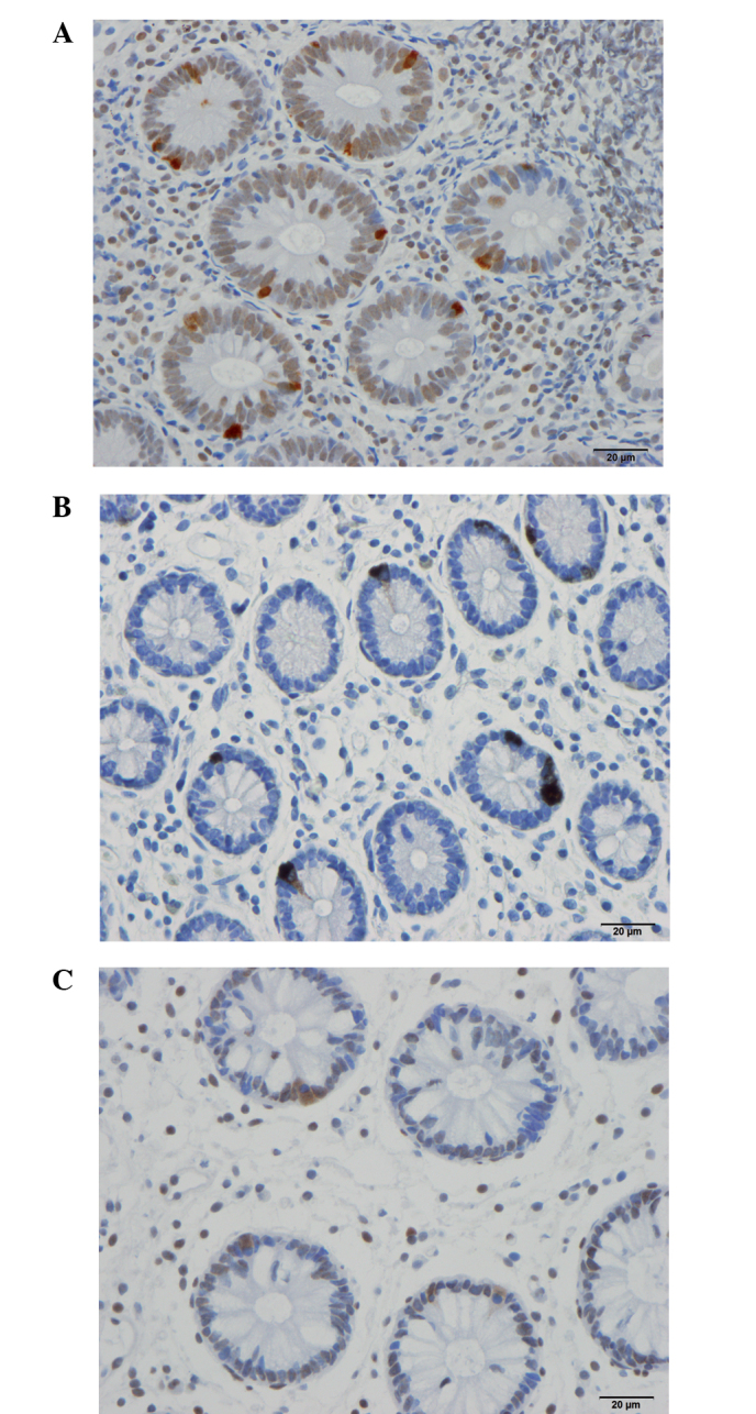 Figure 3.