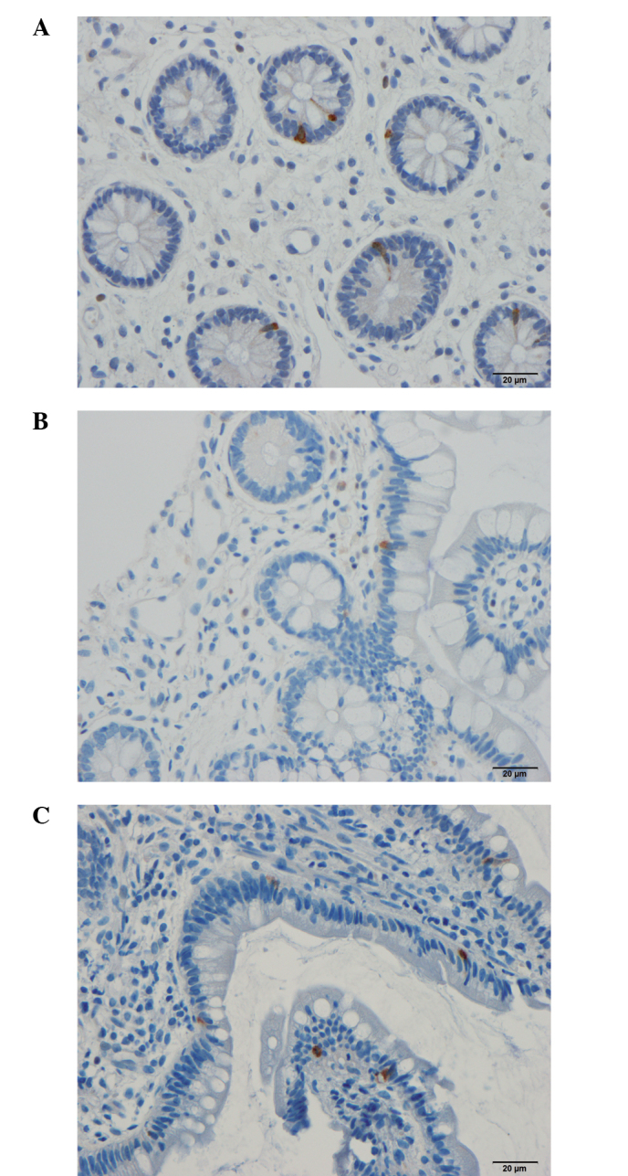 Figure 5.