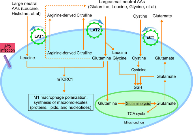 Figure 2