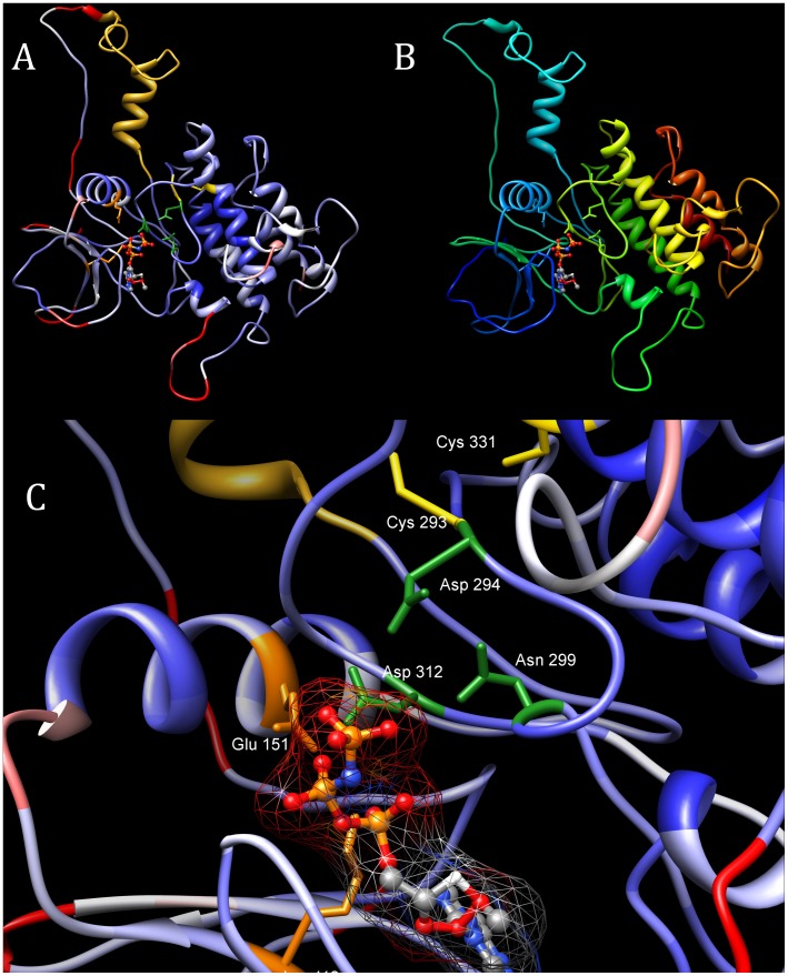 Figure 5