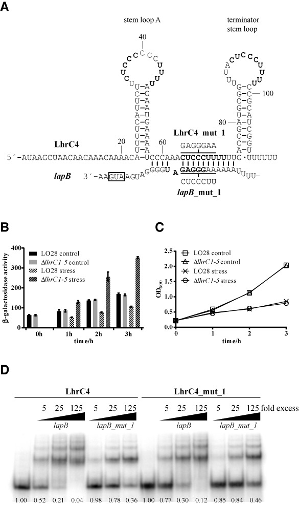 Figure 4.