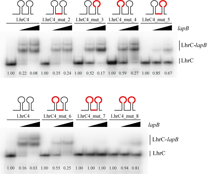 Figure 5.