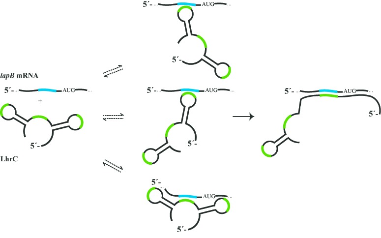 Figure 7.