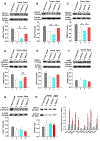 Figure 2 -