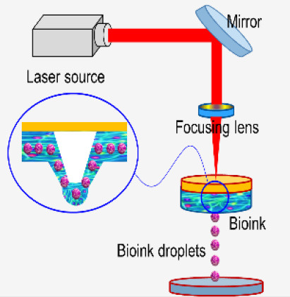 Inline graphic