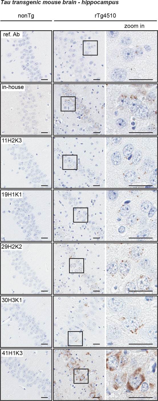 Figure 6.