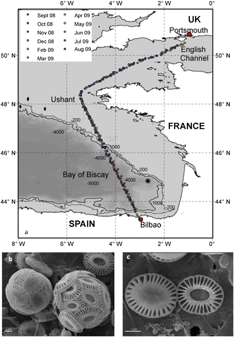 Fig. 1.