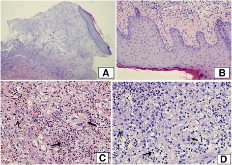 Fig. 5