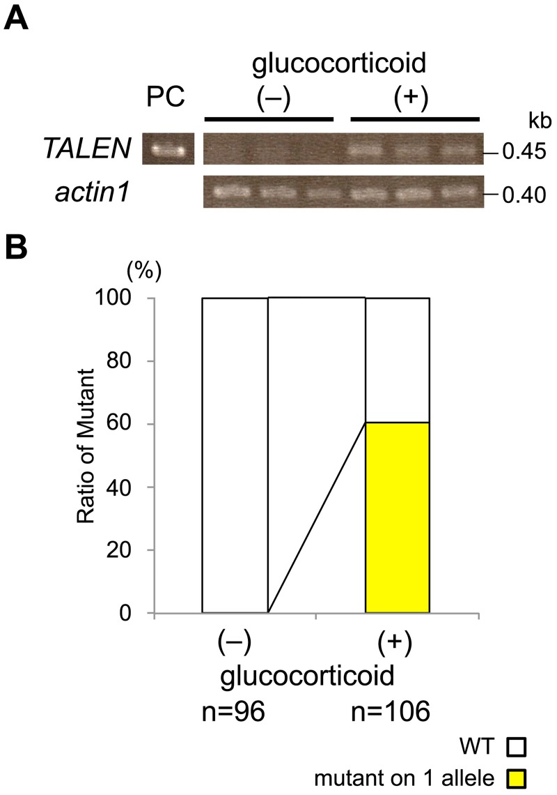 Fig 4