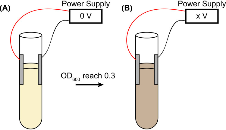 FIG 1