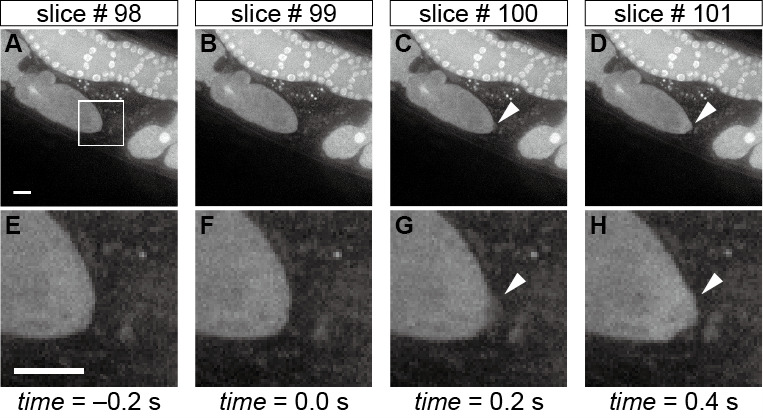 Figure 3.