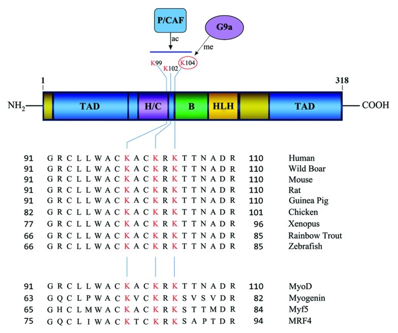 graphic file with name tran-3-215-g1.jpg