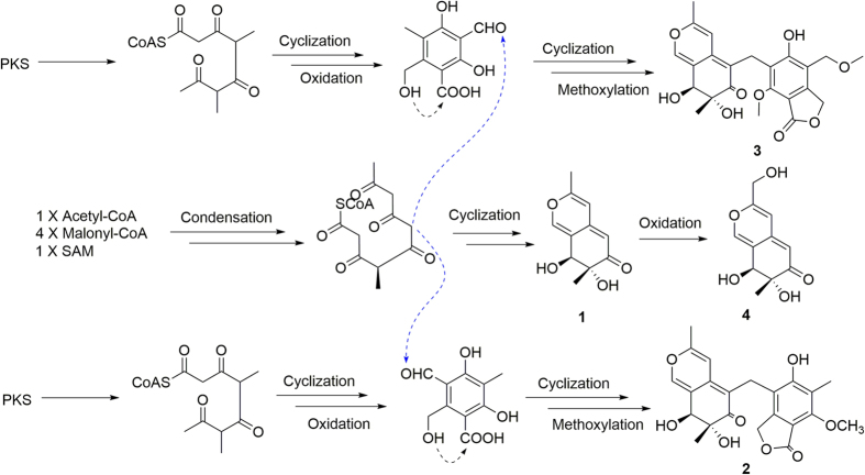 Figure 6