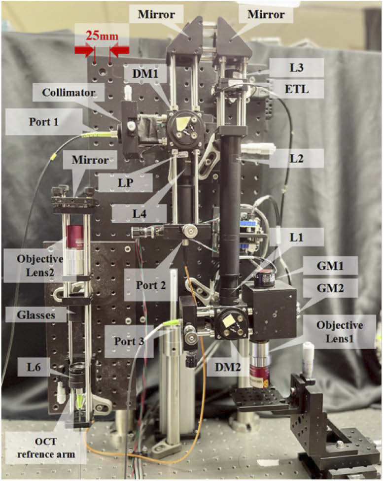 Fig. 2.