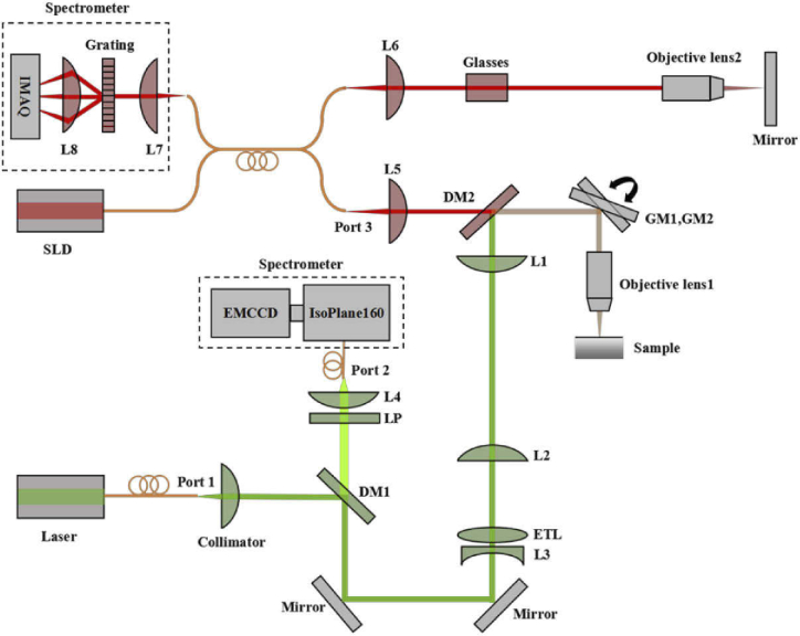 Fig. 1.