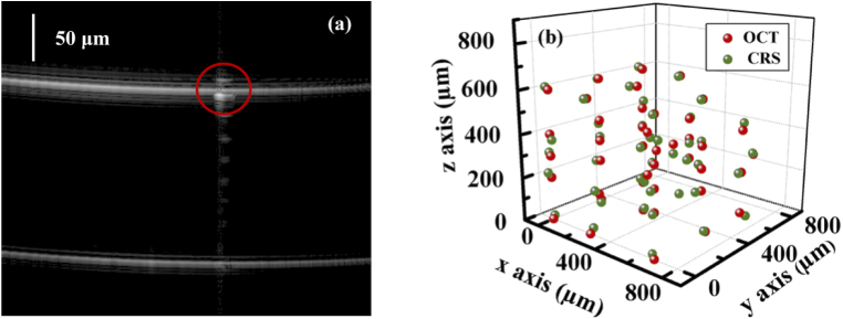 Fig. 4.