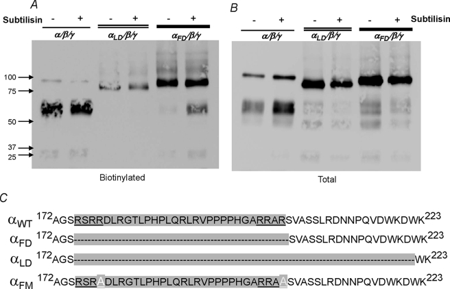 FIGURE 10.