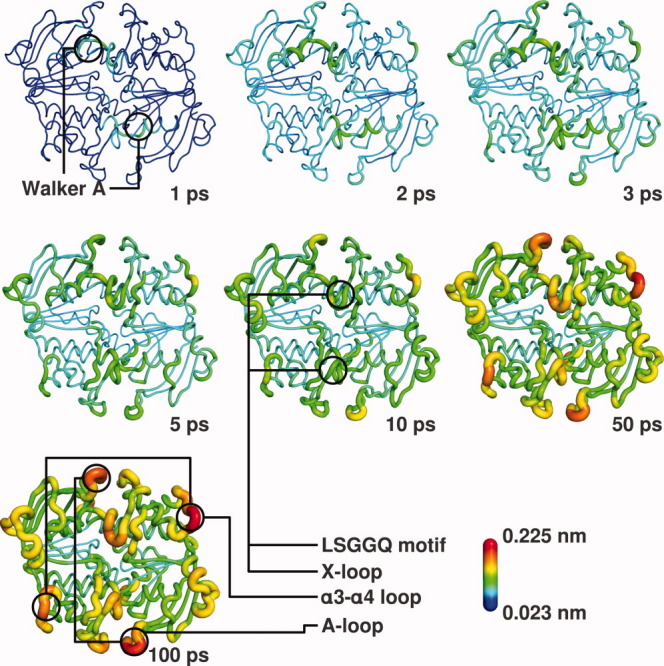 Figure 5