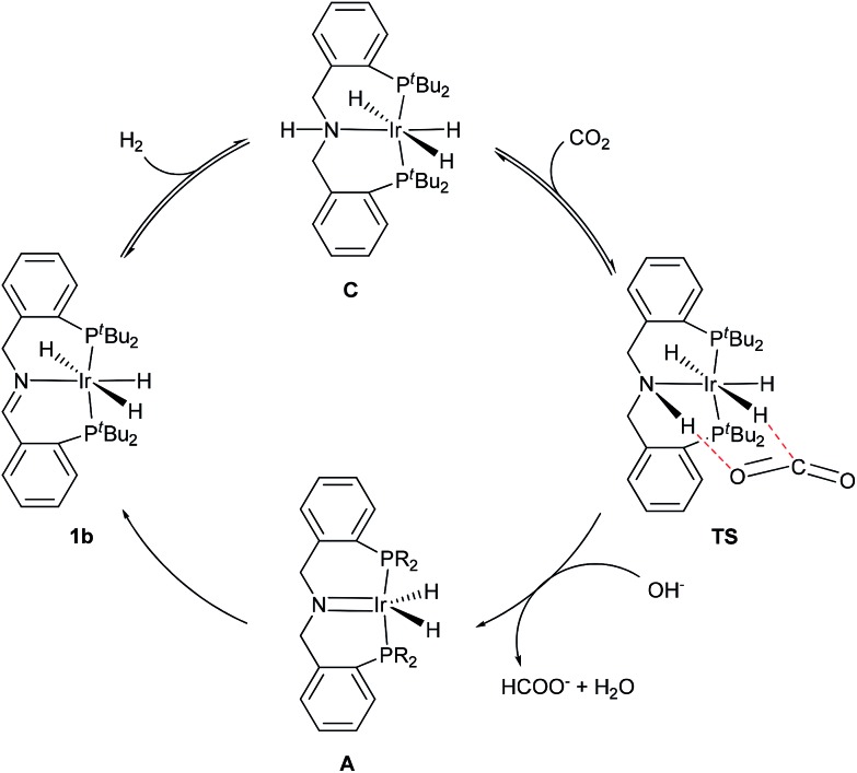 Scheme 2