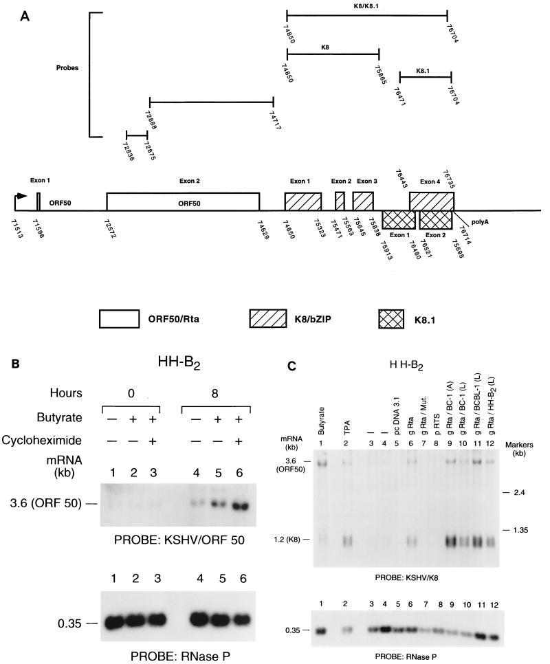 FIG. 1